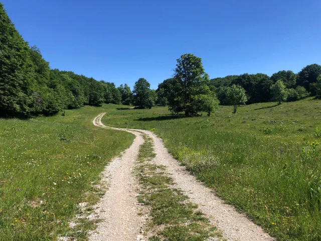Chemin vers le Crêt du Nu, sur le Plateau de Retord