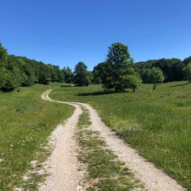 Path to Crêt du Nu, on the Plateau de Retord