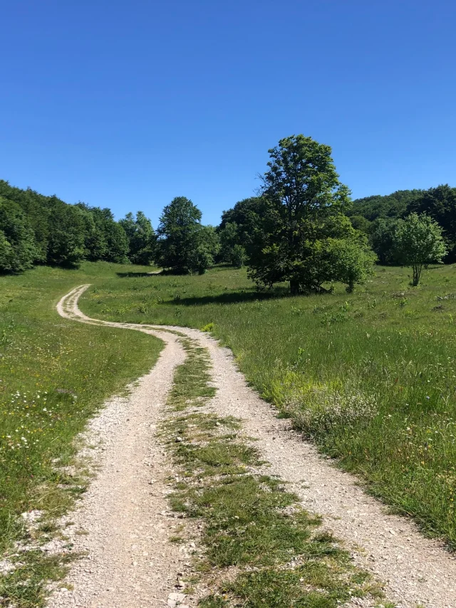 Chemin vers le Crêt du Nu, sur le Plateau de Retord