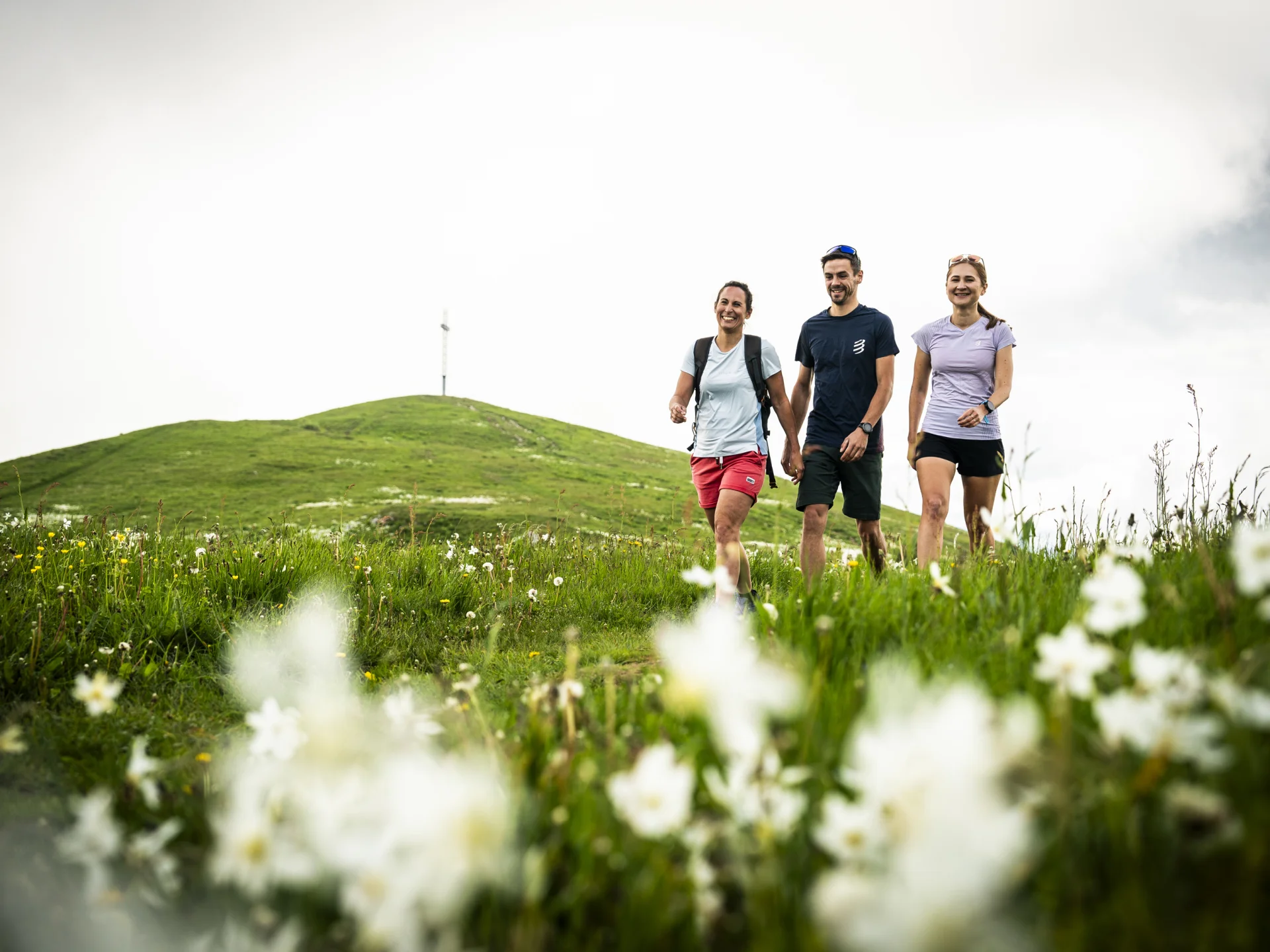 Randonnée au Grand Colombier au Printemps, à la floraison des narcisses