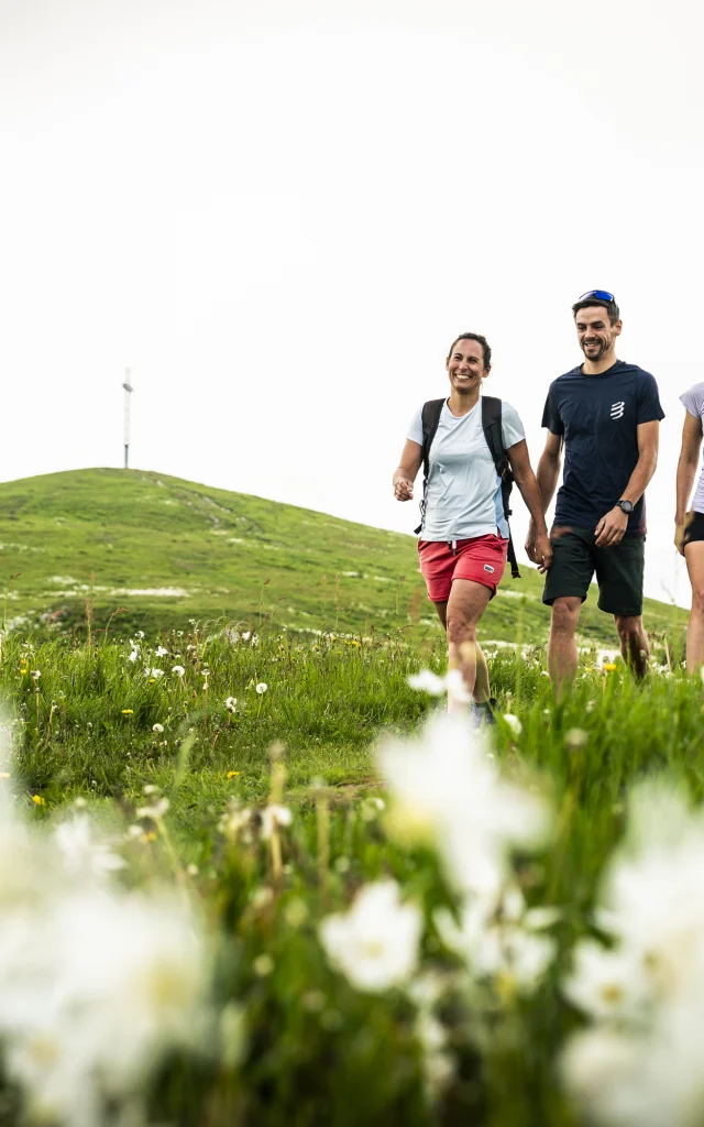 Randonnée au Grand Colombier au Printemps, à la floraison des narcisses
