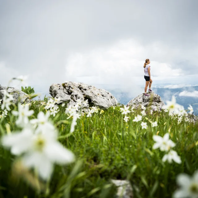 Wanderung zum Grand Colombier