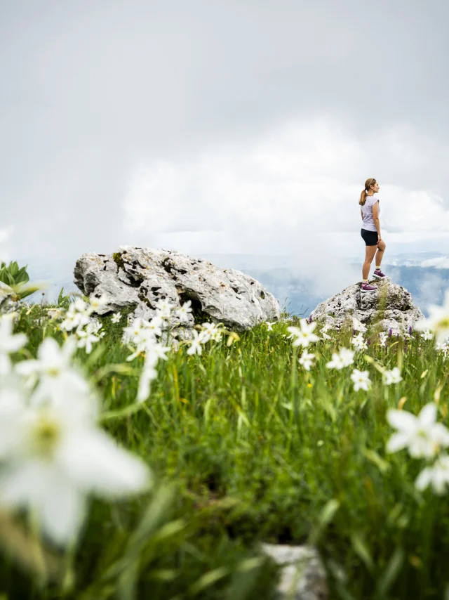 Randonnée au Grand Colombier