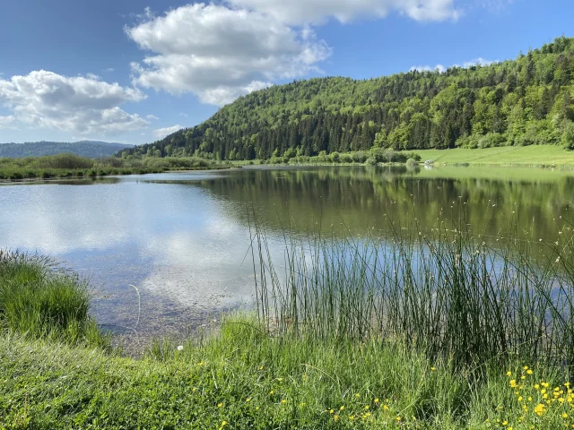 Étang des Lésines auf dem Plateau d'Hauteville