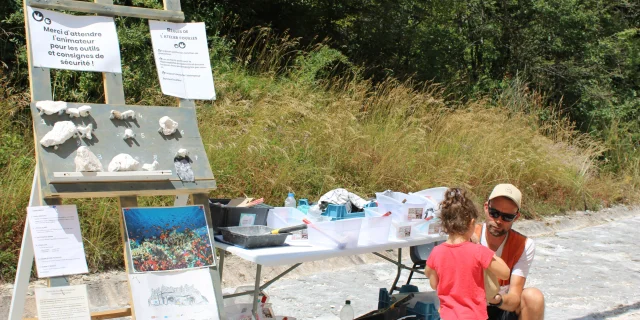 Atelier Fouille à Dinoplagne