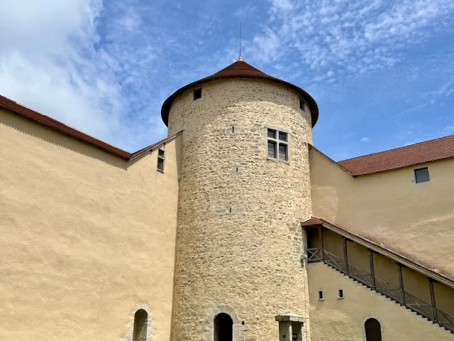 Chateau des Allymes