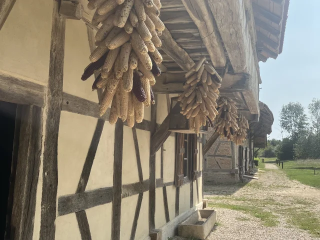Ferme de la Forêt