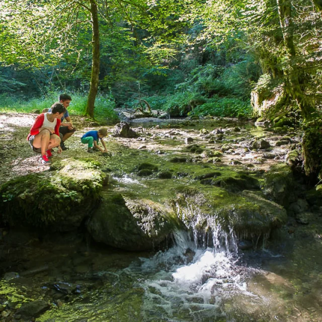 La Sarsouille : une balade entre eau et forêt