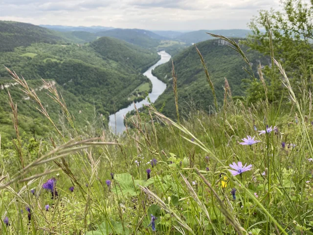 Wanderung auf den Mont Balvay im Frühling