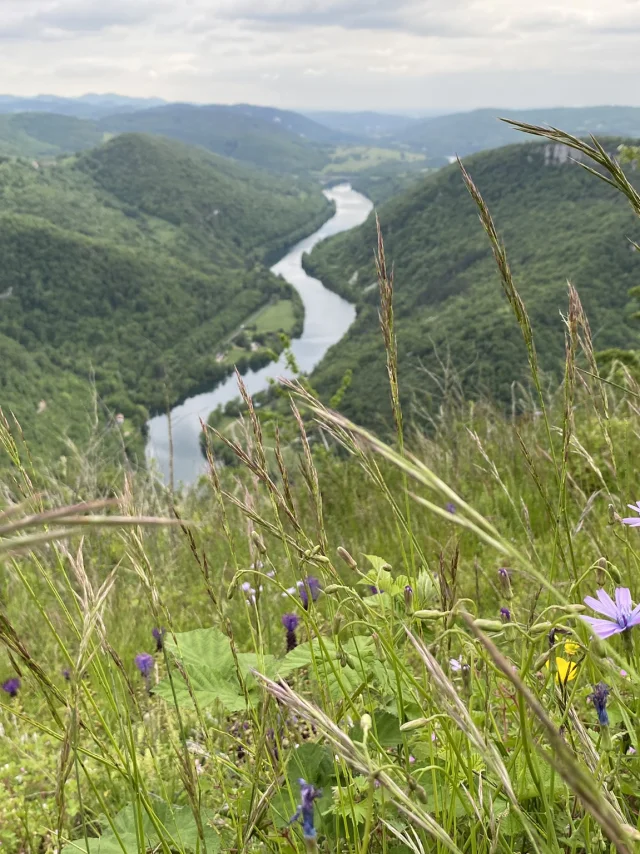 Randonnée au Mont Balvay au printemps