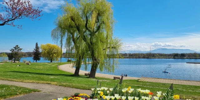 Lac de Divonne-les-Bains