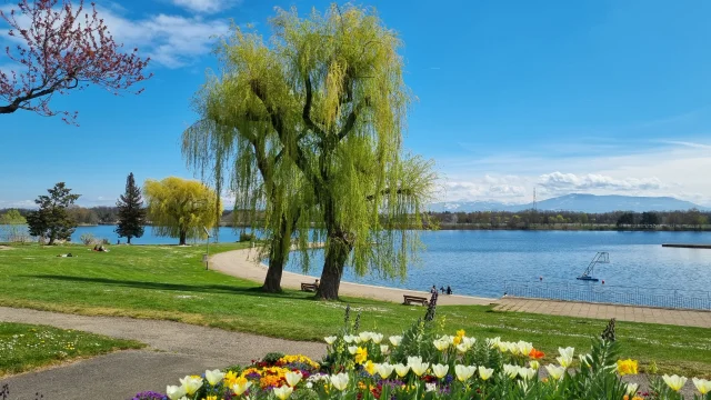 Lac de Divonne-les-Bains