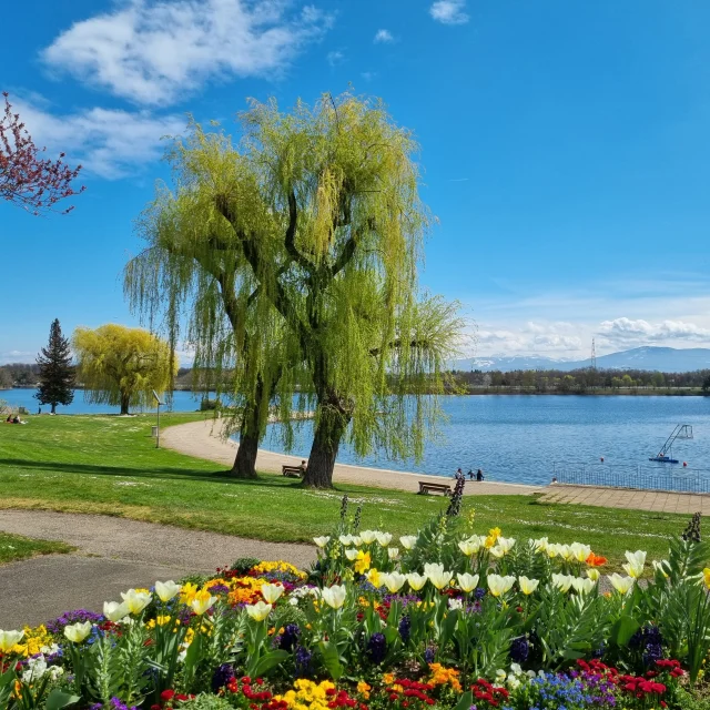 Lake Divonne-les-Bains