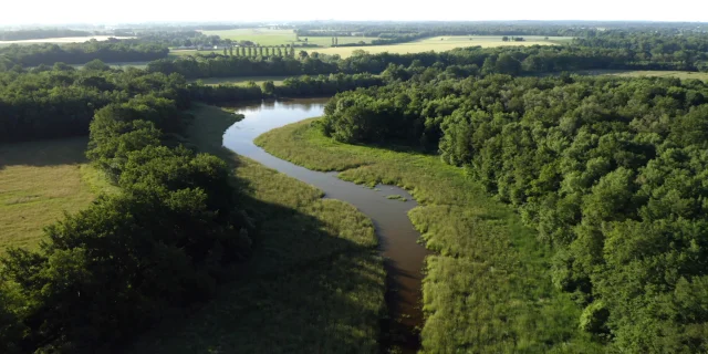 Réserve naturelle de la Dombes