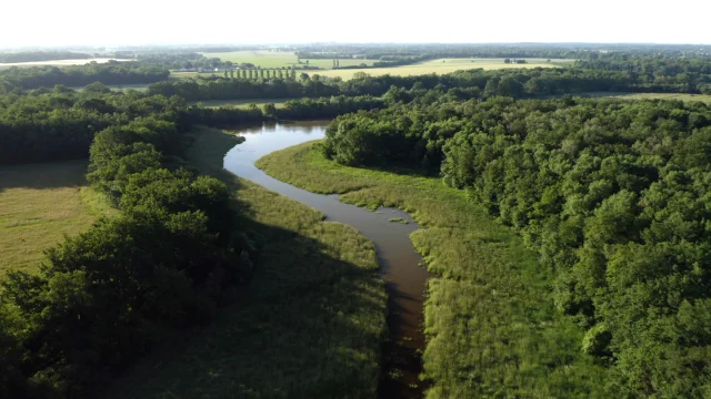 Réserve naturelle de la Dombes