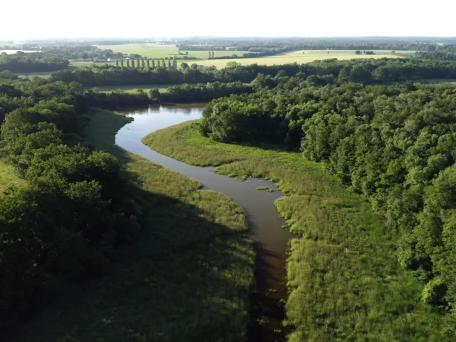Naturreservat der Dombes