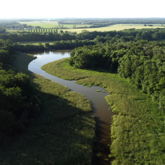 Naturreservat der Dombes