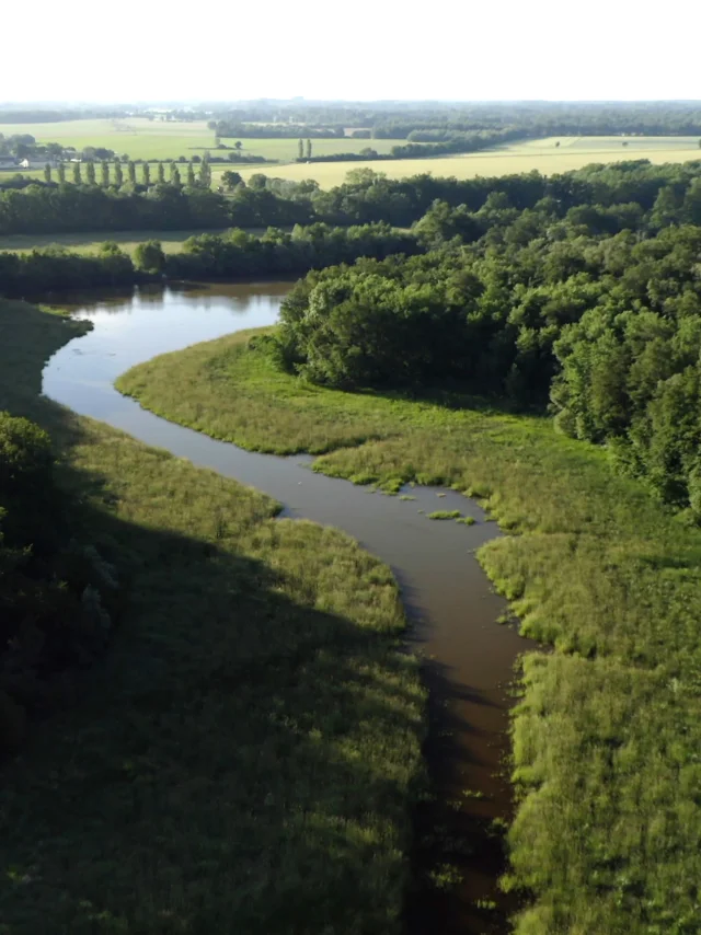 Réserve naturelle de la Dombes