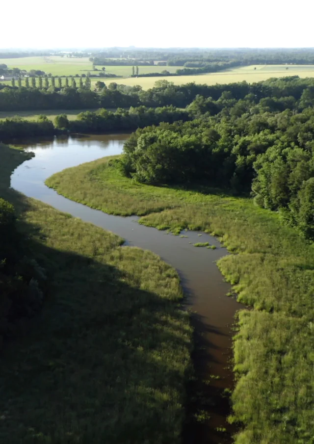 Dombes Nature Reserve