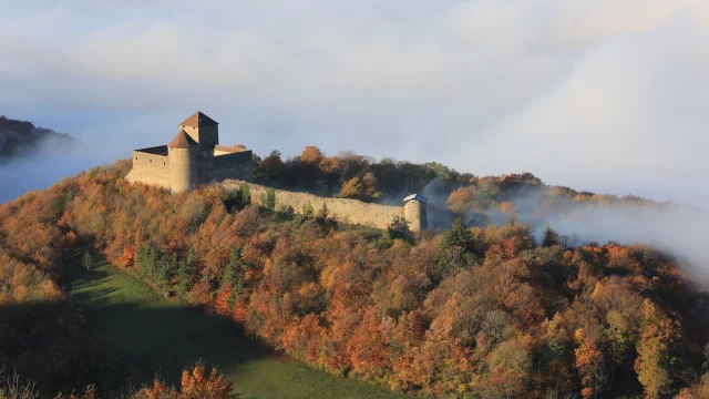 Chateau Des Allymes Vue Aerienne Automne