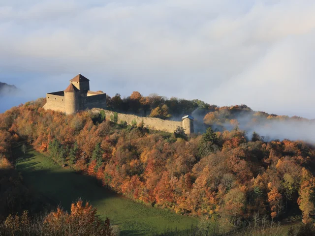 Chateau Des Allymes Vue Aerienne Automne