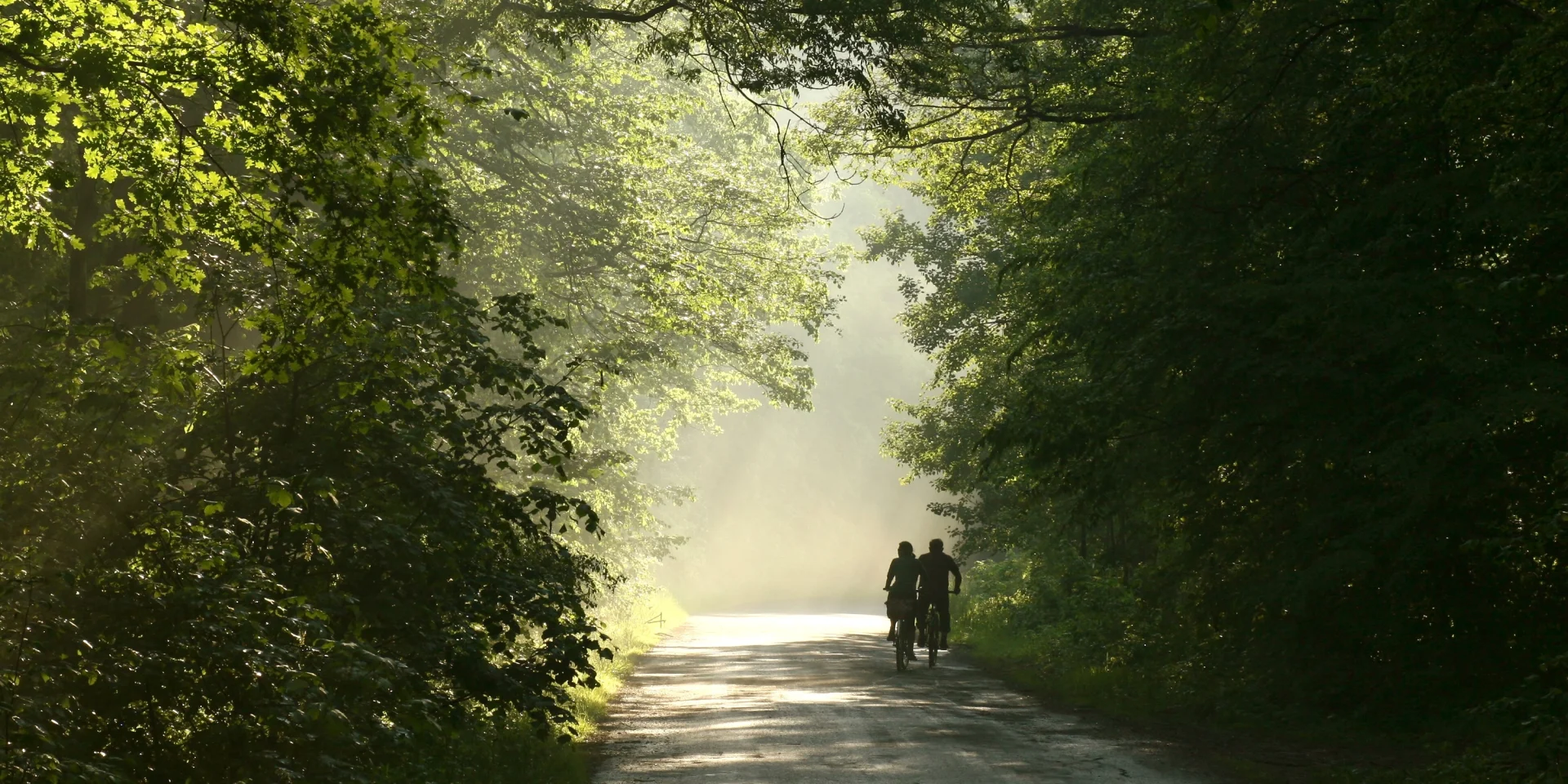 Couple on bicycles in the forest