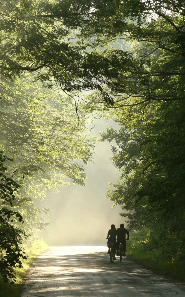 Couple on bicycles in the forest