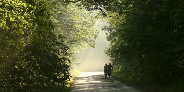 Couple à vélo dans la Forêt