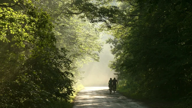 Couple à vélo dans la Forêt