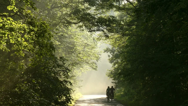 Couple on bicycles in the forest