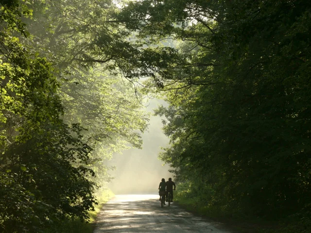 Couple à vélo dans la Forêt