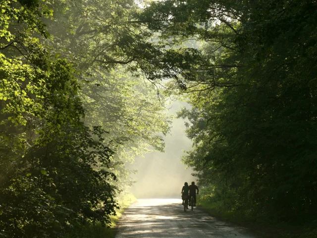 Couple à vélo dans la Forêt