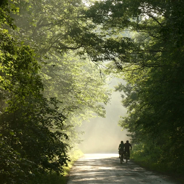 Paar fährt mit dem Fahrrad durch den Wald