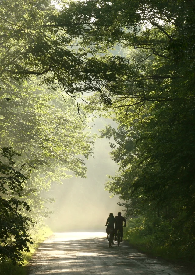 Paar fährt mit dem Fahrrad durch den Wald