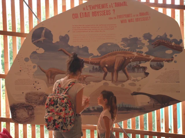 Dinoplagne, an exceptional paleontological site
