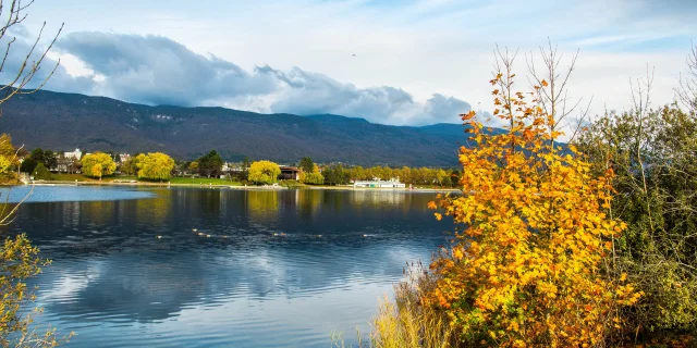 Lac de Divonne-les-Bains en automne