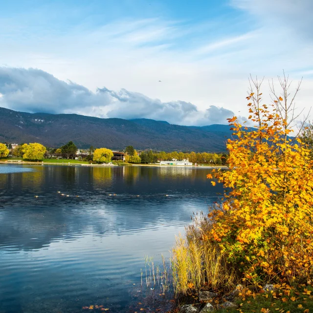 See von Divonne-les-Bains im Herbst