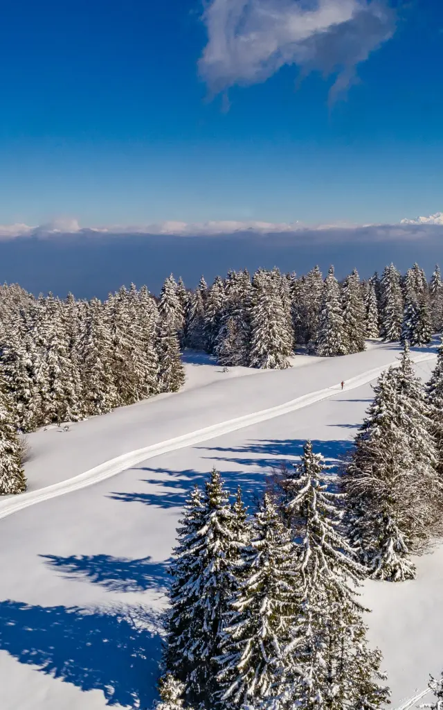 Domaine de la Vattay à Monts Jura, ski nordique