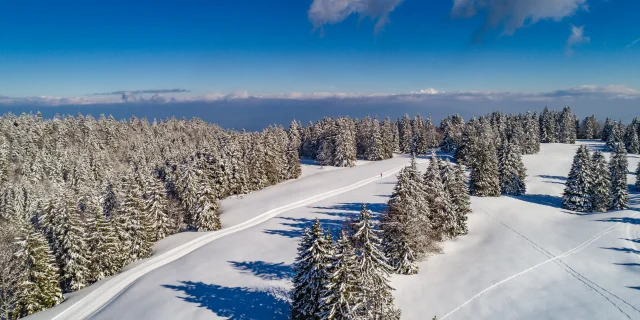 Domaine de la Vattay à Monts Jura, ski nordique