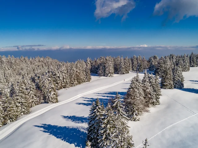 Domaine de la Vattay in Monts Jura, Nordic Skiing