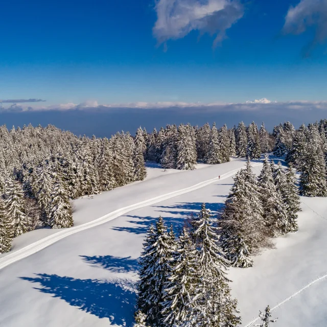 Domaine de la Vattay à Monts Jura, ski nordique