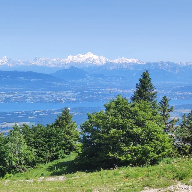 Vue sur le Mont Blanc depuis le Col de la Faucille à Monts Jura