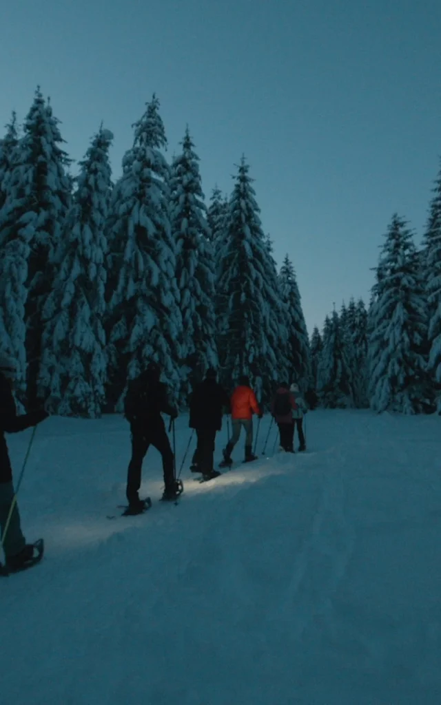 Schneeschuhwandern Nocturne