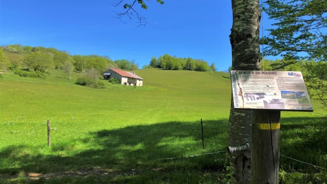 Sentier du Maquis sur le Plateau de Retord