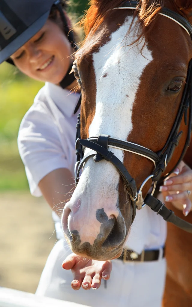 Cheval dans l'Ain