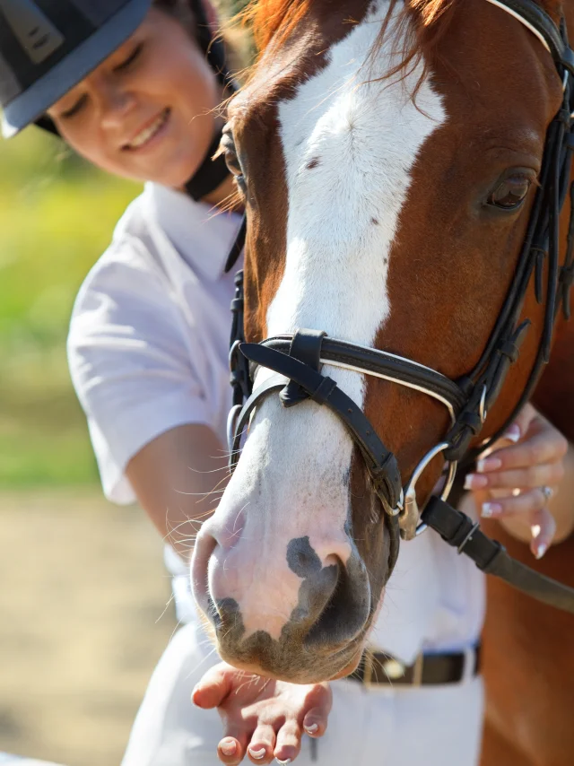 Cheval dans l'Ain