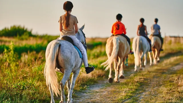 Horses in the Ain