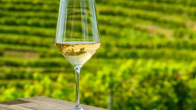 Verre de vin blanc