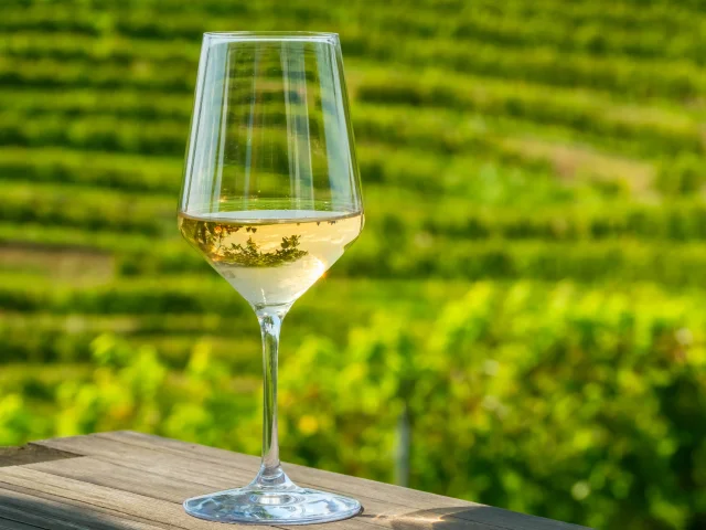Verre de vin blanc