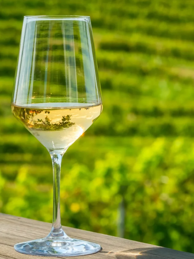 Glass of white wine